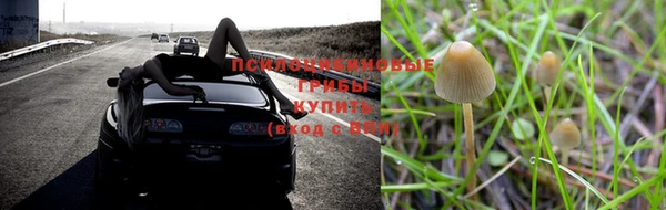таблы Бородино