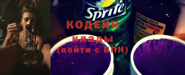 таблы Бородино