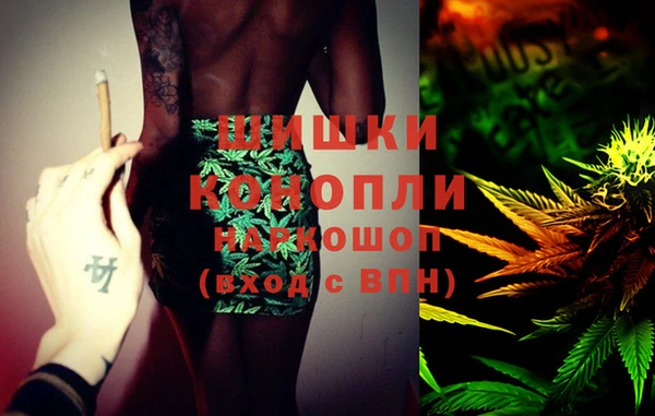 таблы Бородино