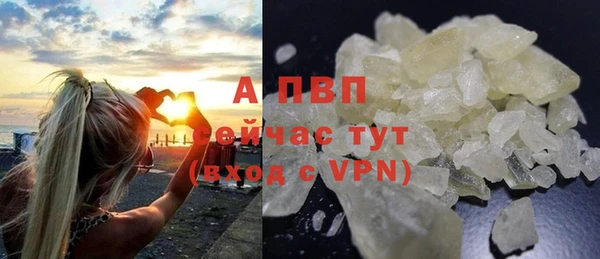 таблы Бородино