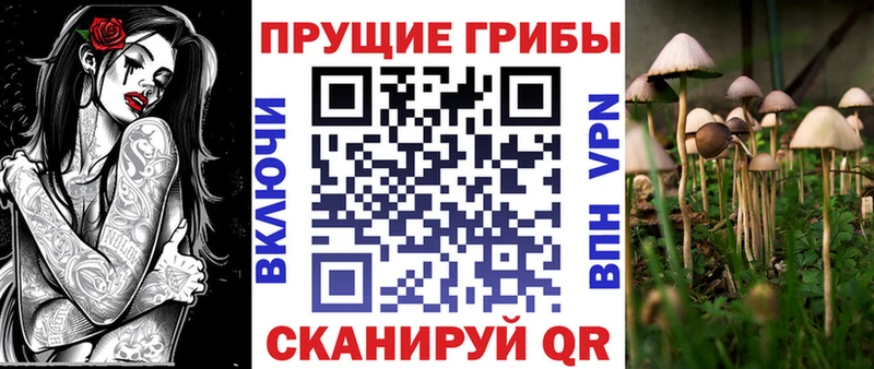 Купить закладки  Десногорск  Псилоцибиновые грибы Magic Shrooms 